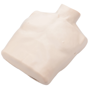 BRAYDEN Manikin Body Skin - Adult